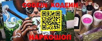 крисы Шебекино