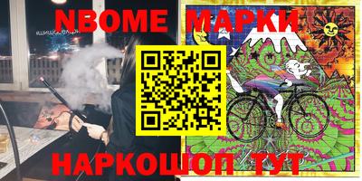крисы Шебекино