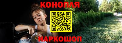 МДПВ Шелехов