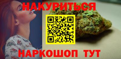 крисы Шебекино