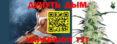МДПВ Шелехов