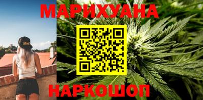 крисы Шебекино
