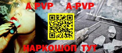 крисы Шебекино