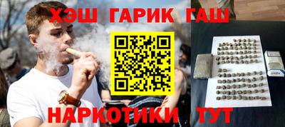крисы Шебекино