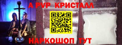 крисы Шебекино